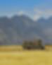 hills